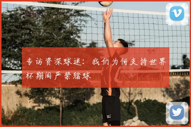 专访资深球迷：我们为何支持世界杯期间严禁赌球