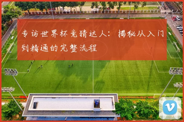 专访世界杯竞猜达人：揭秘从入门到精通的完整流程