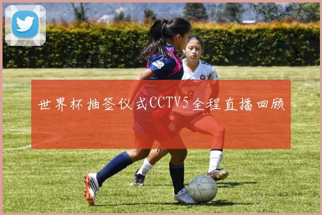 世界杯抽签仪式CCTV5全程直播回顾