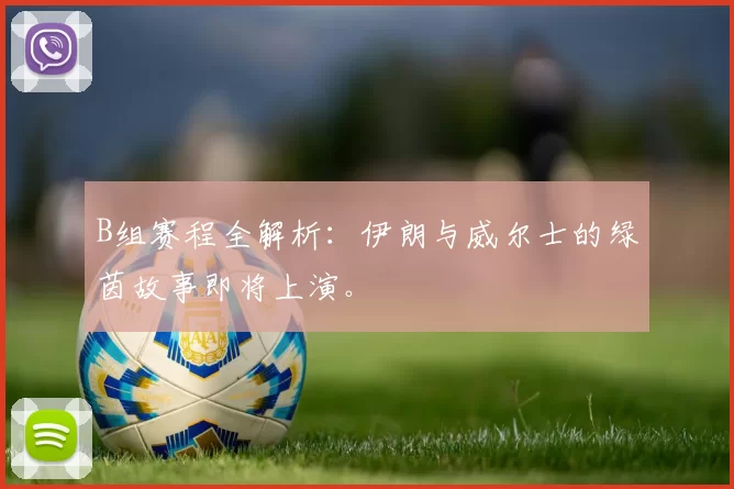 B组赛程全解析:伊朗与威尔士的绿茵故事即将上演。