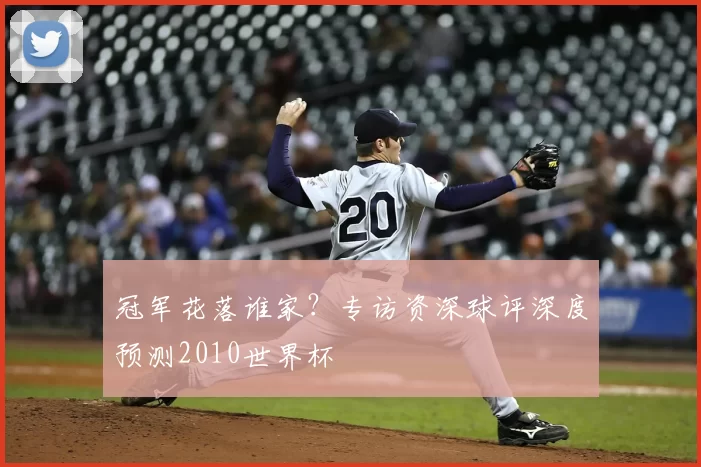 冠军花落谁家？专访资深球评深度预测2010世界杯