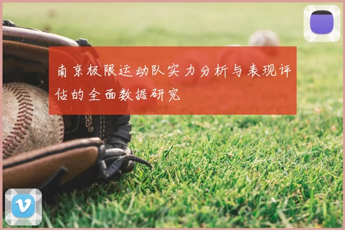 南京极限运动队实力分析与表现评估的全面数据研究