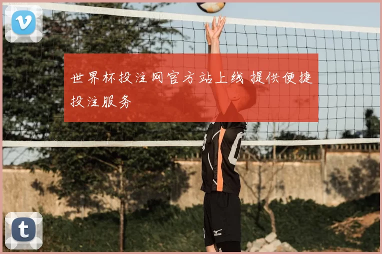 世界杯投注网官方站上线 提供便捷投注服务