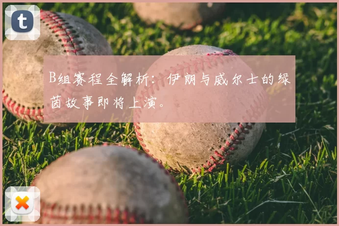 B组赛程全解析:伊朗与威尔士的绿茵故事即将上演。